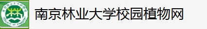 南京林业大学植物网