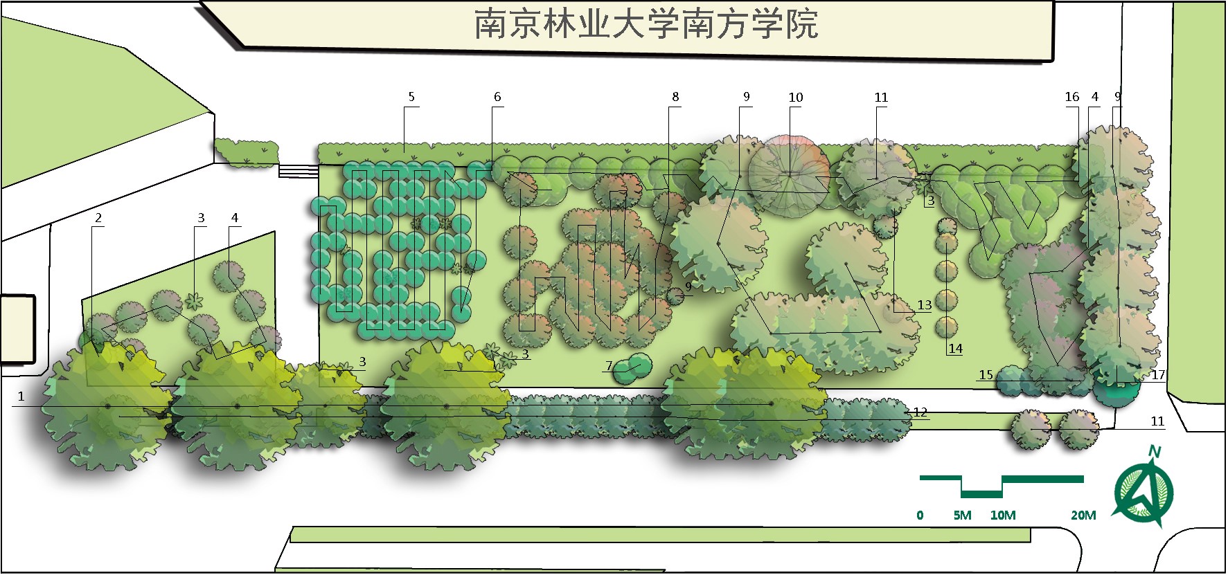 南京林业大学植物网